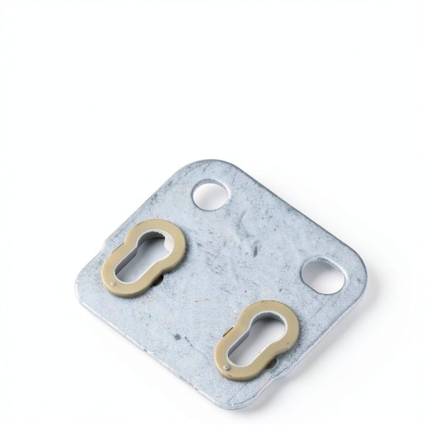 Multizenic Engine Push Rod Guide Plates for Automotive-4