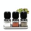 DEAYOU 3 Pack Glass Seasoning Box with Tray, Clear Condiment Canister with 18/10 Stainless Steel Lid and Spoon, Kitchen Spice Pot with Base, Salt Pepper Sugar Storage Container Jar Cruet for Desk-5